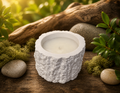 Vela tronco